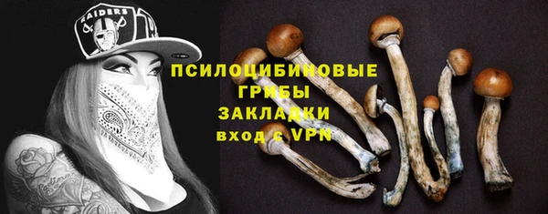 тгк Алексин